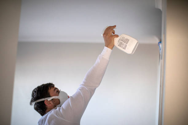 Best Local Mold Removal Service  in Beach Haven West, NJ