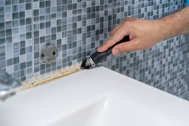 Best Mold Cleaning Services  in Beach Haven West, NJ