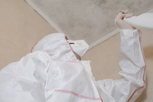 Best Crawl Space Mold Removal  in Beach Haven West, NJ
