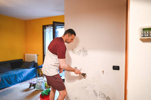 Mold Testing and Removal in Beach Haven West, NJ